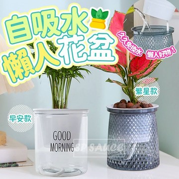 懶人花盆 🪴 水培花盆栽 自吸水花盆 盆栽容器 水耕植物 水耕盆栽 水培植物 水培花盆 水耕瓶 園藝 水耕 盆栽 水培