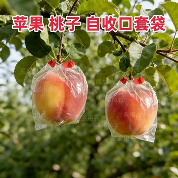 【可開收據】橡皮筋自動收口套袋 蘋果梨子快速專用膜袋 水果防蟲自動扣鬆緊塑料 THRR