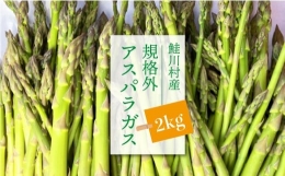 鮭川村産　規格外アスパラガス　2kg