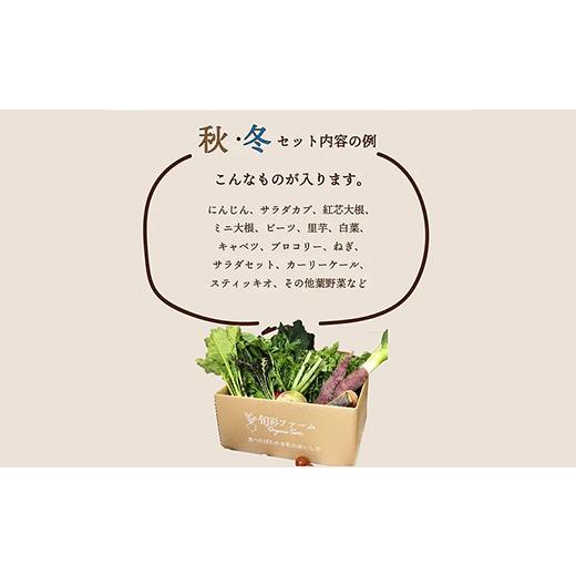 ふるさと納税 福島県 白河市 《有機JAS認証》オーガニック 季節のお野菜セット（大）定期便 3ヶ月連続 F21R-864