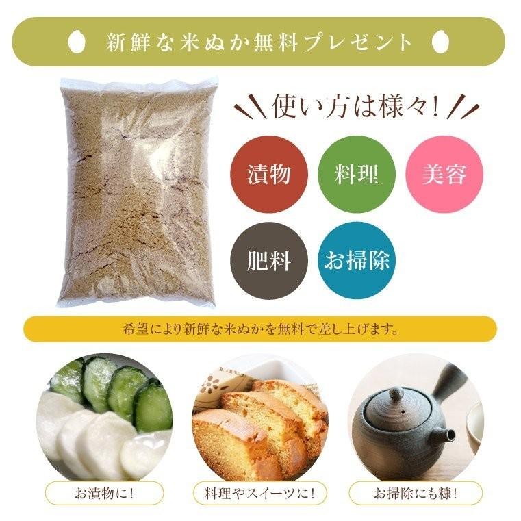 新米 令和５年 お米 5kg  Iwaki Laiki コシヒカリ 無洗米 福島県産 送料無料 精米  米