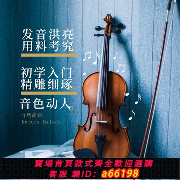 【台灣公司 可開發票】自然旋律手工實木小提琴初學者成人專業考級兒童入門練習小提琴