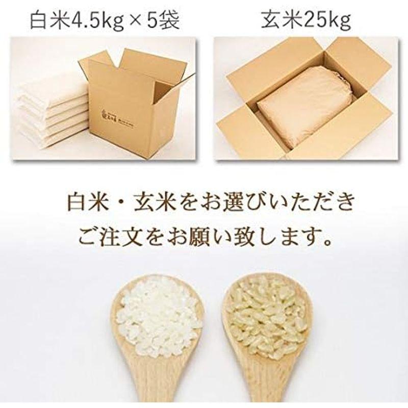 新米 玄米 令和5年産 新潟県産 こしいぶき 25kg 安心安全な特別栽培米 2等米 玄米