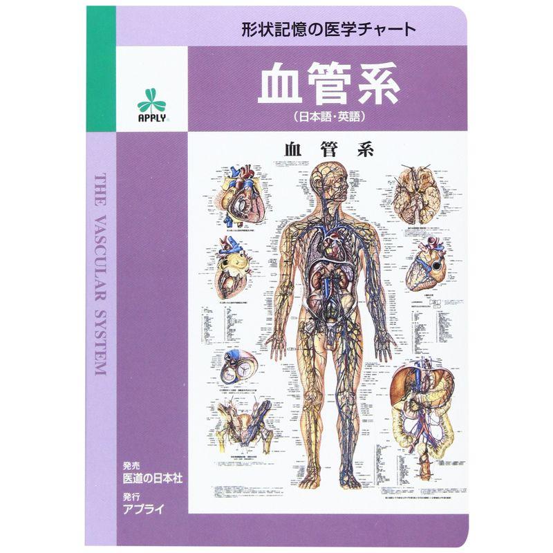 血管系形状記憶の医学チャート (健康)