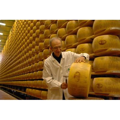 チーズ ロディジャーノ ラスパドゥーラ 200g イタリア ロンバルディア州産 ハードチーズ  スライス プレカット パック お取り寄せ グルメ