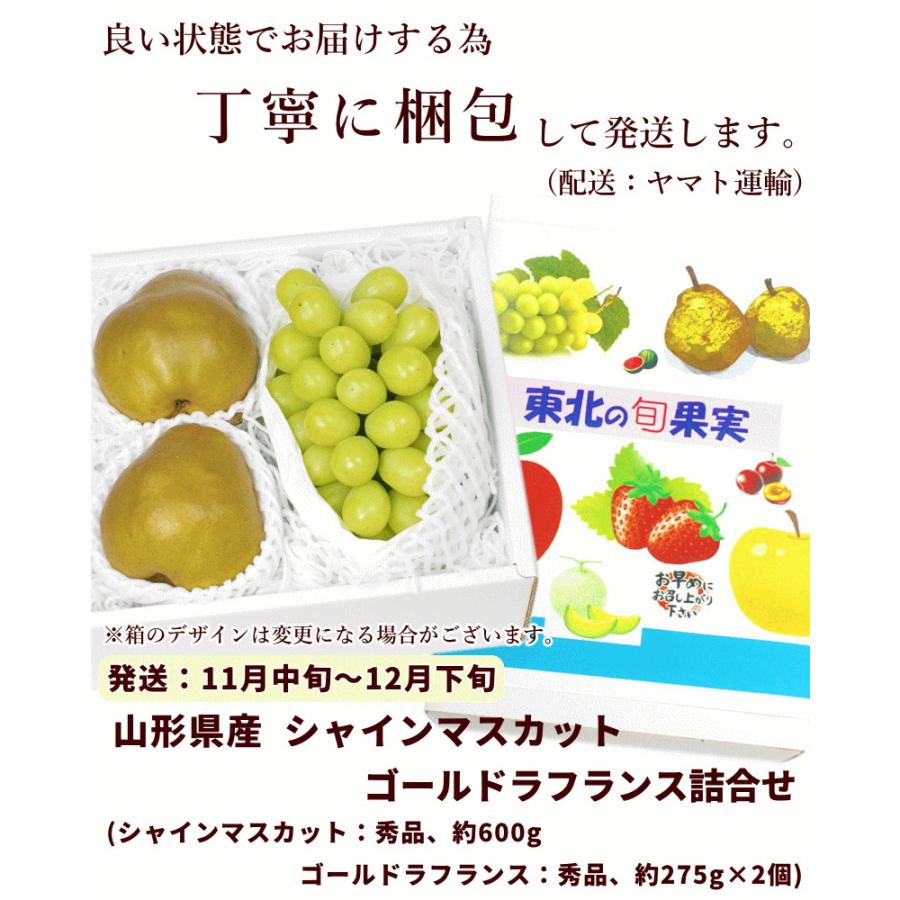 シャインマスカット 洋梨 セット 山形県産 シャインマスカット＆ゴールド・ラ・フランス詰合 秀品 ギフト お歳暮 11月中旬頃から発送 送料込