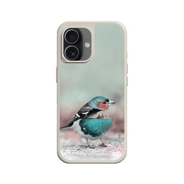 iPhone 17 SolidX 貝殼灰 - Julien Tabet - 水鳥