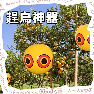 驅鳥🍊趕鳥神器 趕鳥 驅鳥神器 趕鳥器 防鳥神器 驅鳥球 嚇鳥 嚇鳥神器 防鳥 花園 莊稼 趕鴿子 趕麻雀 台灣出貨