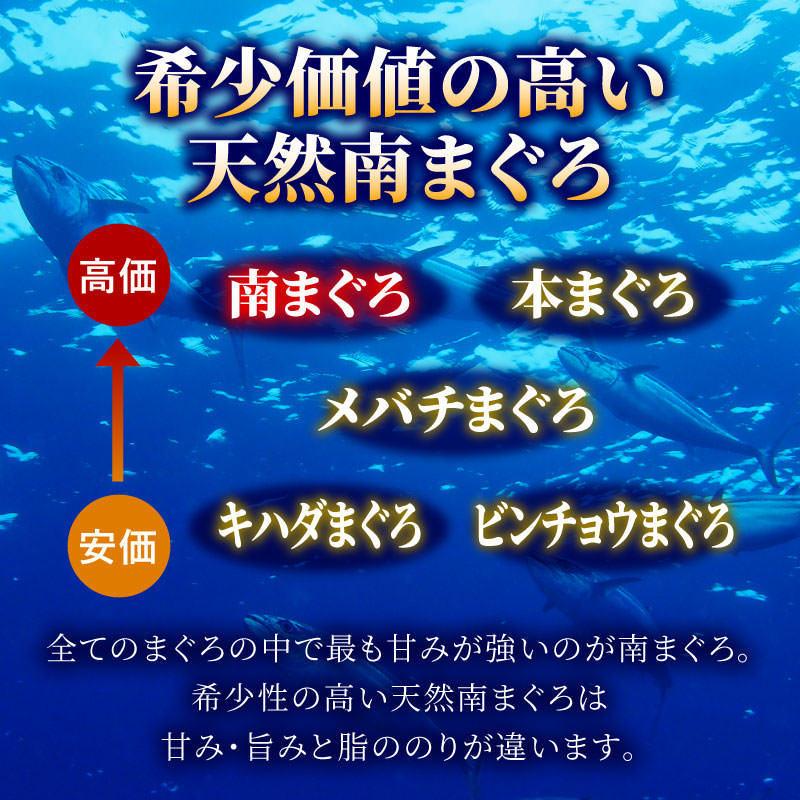 訳あり 数量限定 南マグロ不定形柵１kg 冷凍 鮪 まぐろ 刺身 ミナミマグロ インドマグロ インド鮪 送料無料