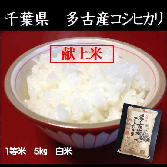 令和5年産　千葉県多古産こしひかり（コシヒカリ）　 5kg