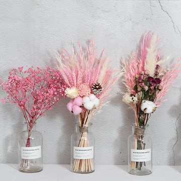 ins家居成品透明玻璃花瓶滿天星干花花瓶客廳咖啡廳擺件裝飾插花1入