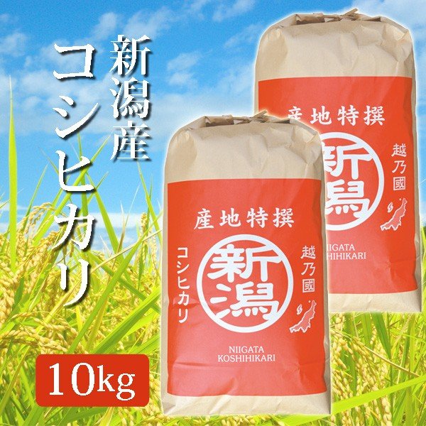 米 令和5年産 2023年度産 玄米 新潟県産コシヒカリ こしひかり 10Kg (10キロ)  5kg×2袋 新潟産 コシヒカリ 代引不可 同梱不可