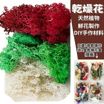 【A-ONE】乾燥花材料包 永生苔癬 3色混搭 永生花 浮油花 乾燥花藝教學 天然乾燥花相思豆 天然麥穗 A19