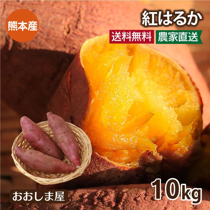 さつまいも 紅はるか 10kg 送料無料 熊本産 生芋 さつま芋 唐芋 からいも べにはるか ＜予約2023年12月上旬より出荷予定＞