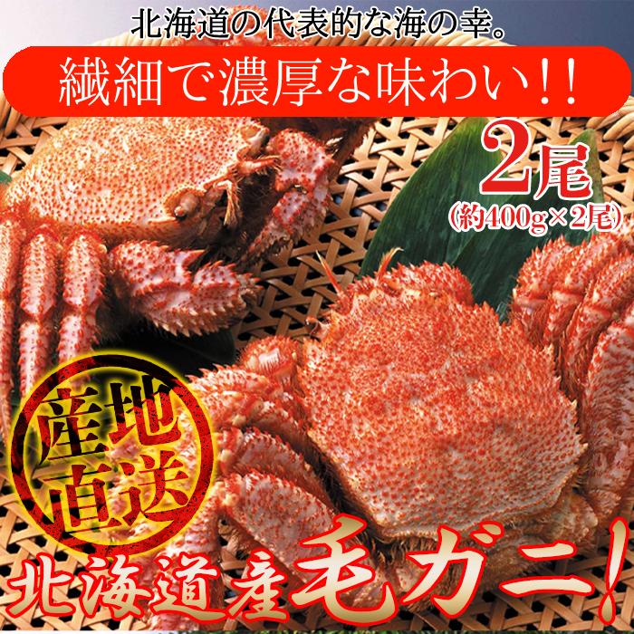 北海道を代表する海の幸！絶品！！毛がに 400g×2尾