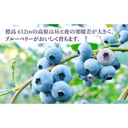 ふるさと納税 冷凍ブルーベリー 計1.2kg 400g × 3パック 熊本県産ブルーベリー 山都町産ブルーベリー ブルーベリー フ.. 熊本県山都町