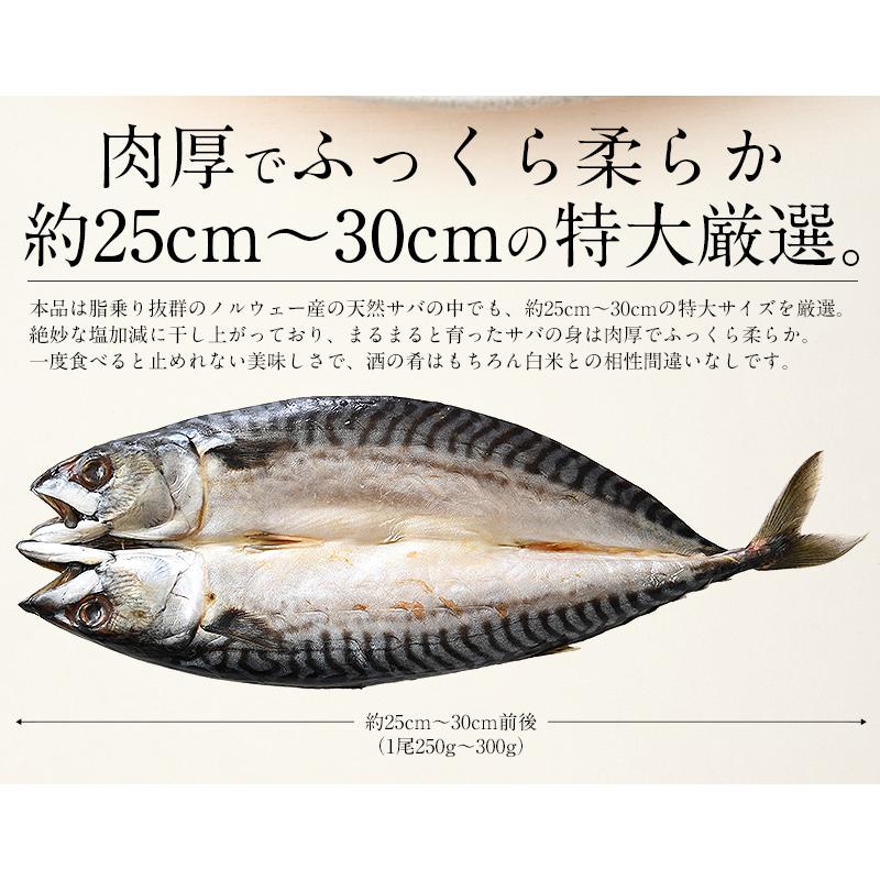 干物 さば サバ 鯖 特大サイズ 約250〜300g×3尾 干物 詰め合わせ 冬グルメ 冬ギフト