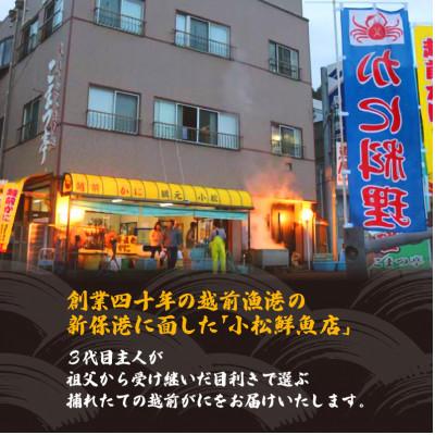 ふるさと納税 越前町 地元鮮魚店厳選  ≪浜茹で≫ 足折れ 越前がに 中サイズ 1杯