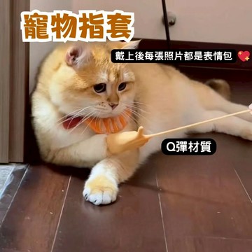 【配合隔日到貨 開立發票】高彈力貓貓手指 寵物指套 貓咪剪刀手 逗貓小手 擼貓神器 逗貓棒 硅膠手指 擼貓手指 寵物用品