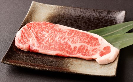 あか牛 サーロイン肉 1kg (5枚～6枚) 馬刺し 200g 赤身 100g 霜降り 50g たてがみ 50g 食べ比べ セット