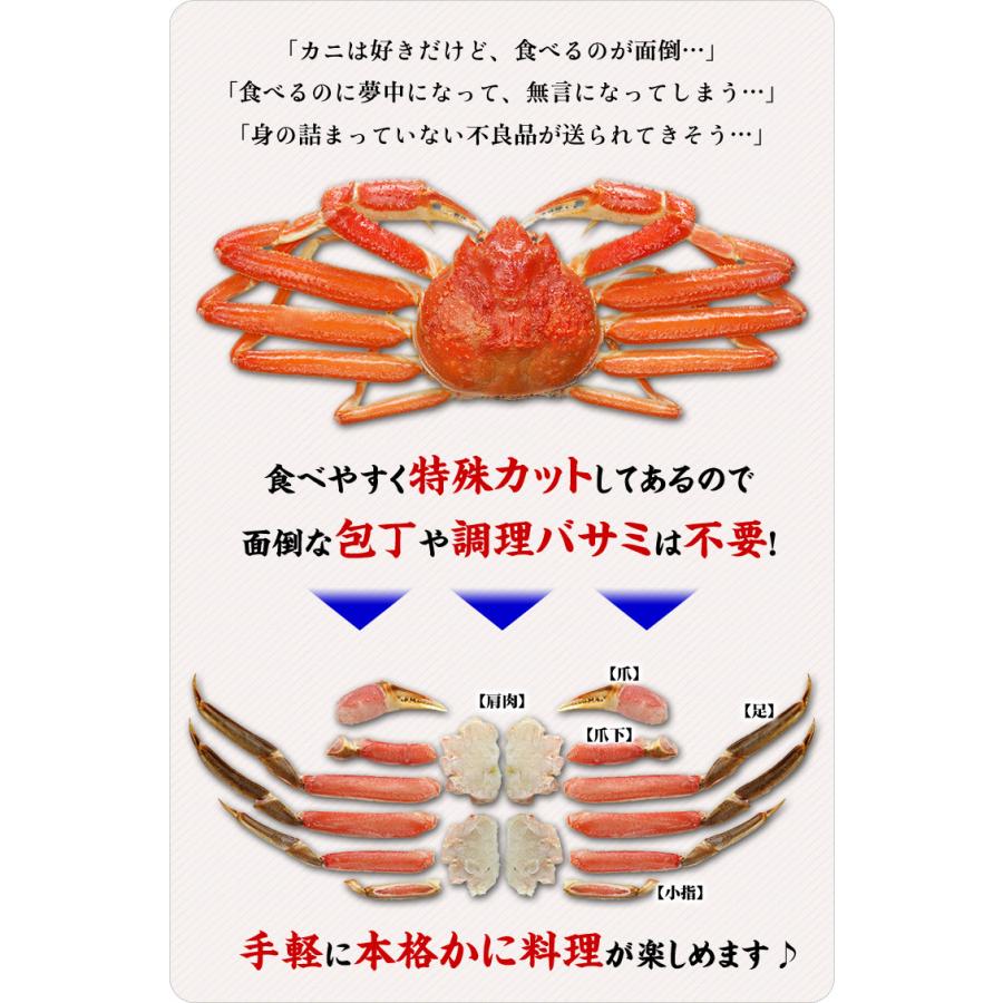 かに カニ 蟹 ズワイガニ お刺身ＯＫ カット生ずわい蟹 500g (総重量約700g) カニ かに 蟹 FF