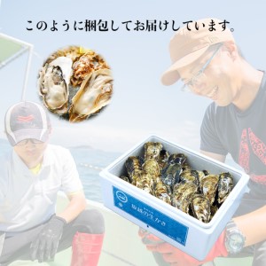 定期便 牡蠣 坂越かき 殻付き牡蠣 28個 オイスターナイフ付き[ 生牡蠣 かき カキ 殻付 生食 冬牡蠣