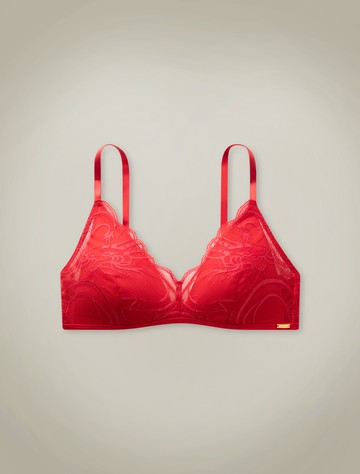 Calvin Klein 龍年蕾絲三角胸罩