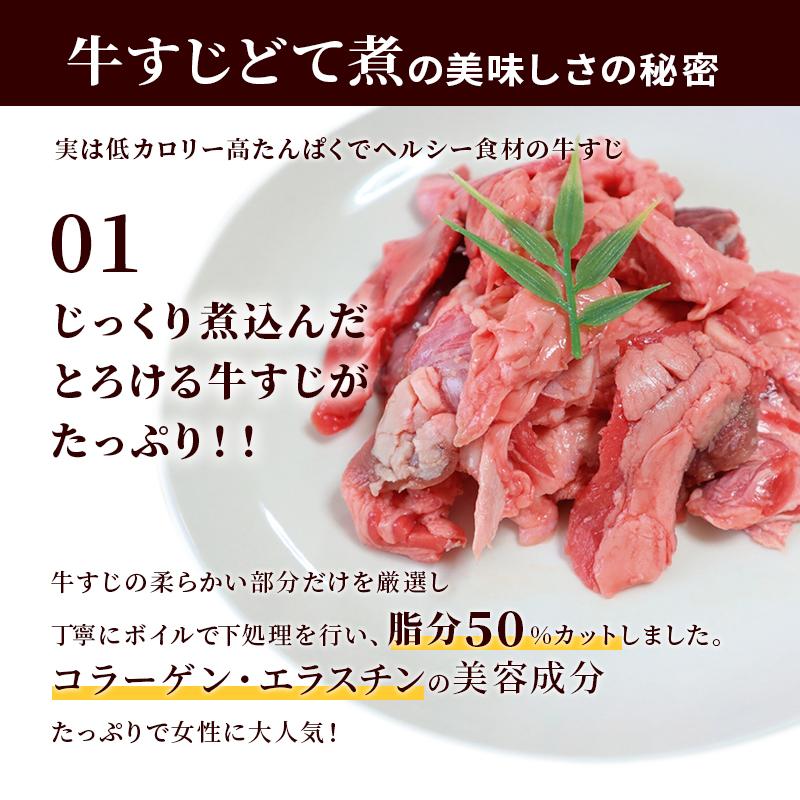 牛すじ どて煮 国産 牛すじ煮込み レトルト 博多 屋台風 コラーゲン 常温保存  送料無料 メール便 125g×6パック