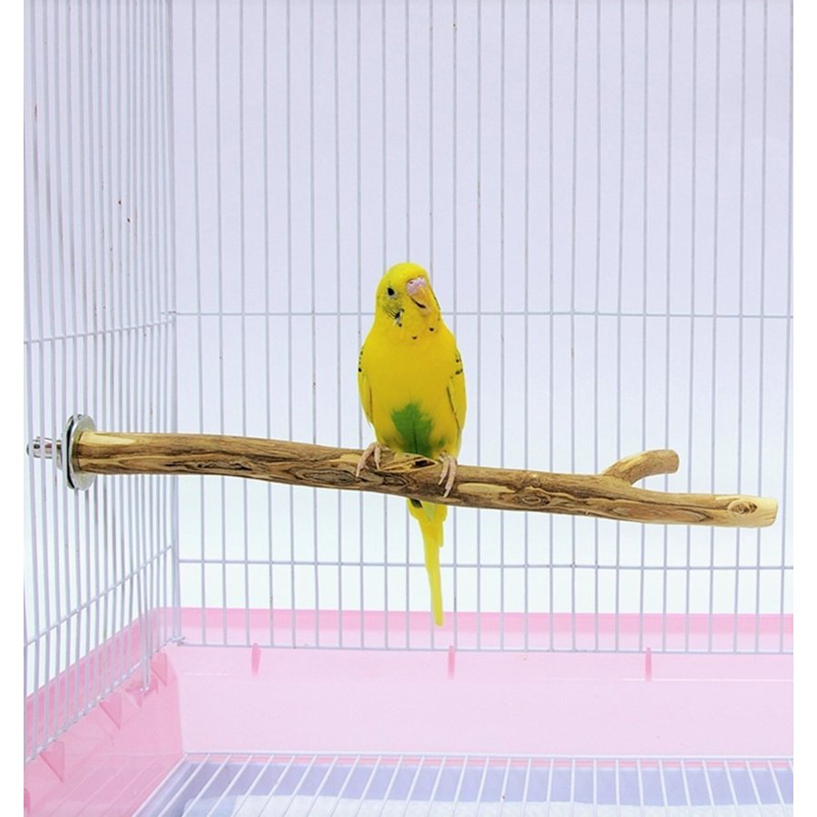 MARUKAN 森の小枝（Mサイズ）長さ約28cm 自然木 止まり木 パーチ セキセイインコ コザクラインコ 鳥 枝 文鳥 ブンチョウ オカメインコ  通販 LINEポイント最大0.5%GET | LINEショッピング