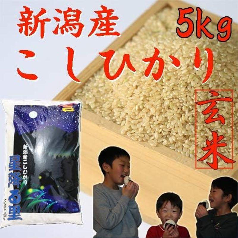 新潟県産 コシヒカリ 5kg 玄米 特Ａ 令和4年 玄米 こしひかり 5キロ 農家直送