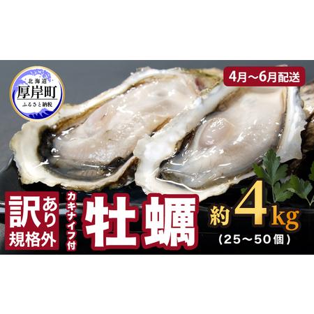 ふるさと納税 4月〜6月配送 訳あり 牡蠣 北海道厚岸産 殻付カキ 約4kg (25〜50個) カキナイフ付 生食 北海道厚岸町