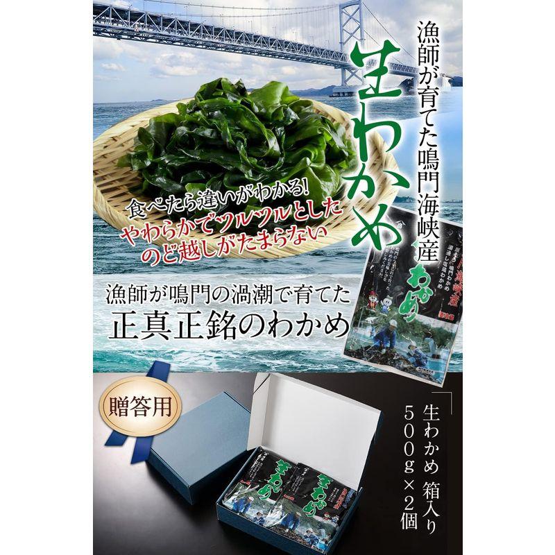 贈答用 生産者直送 国産 徳島県 鳴門海峡 塩蔵 生わかめ 箱入り 500g×2個