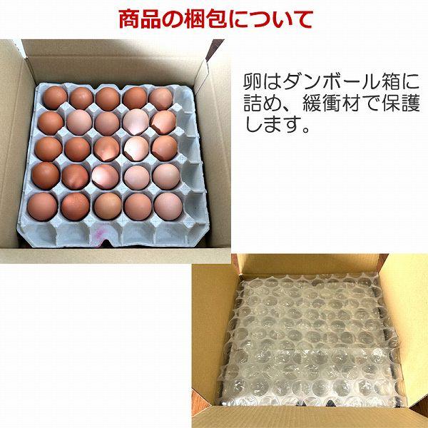 福地鶏のふくたまご25個(規格外55g以下) 福井県の平飼い地鶏卵 産地直送 テトテヲ