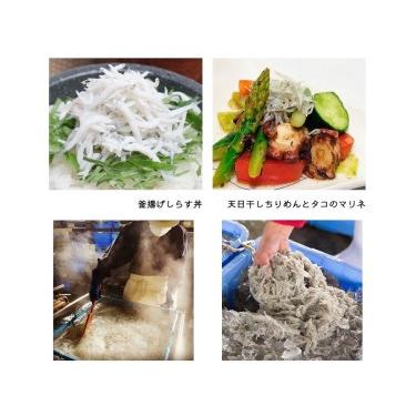 ふるさと納税 紀州湯浅湾直送！茹でたて釜揚げしらす（200ｇ×2）、天日干ちりめん（200ｇ×2）セット　 和歌山県那智勝浦町