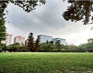 面寬綠野超值店面｜台北市中山區五常街