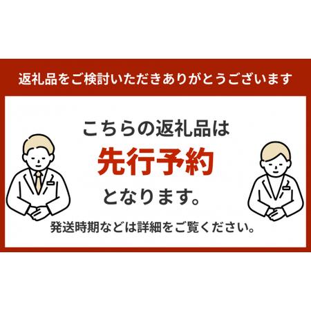 ふるさと納税 仲村農園の完熟アップルマンゴー約1Kg  沖縄県うるま市