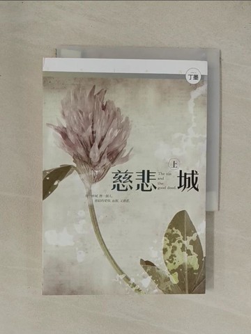 【書寶二手書T1／言情小說_YG5】慈悲城(上)_丁墨