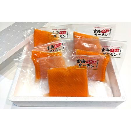 ふるさと納税 玄海サーモン 柵(80g×5P) 刺身用 サーモントラウト 小分け 佐賀県唐津市