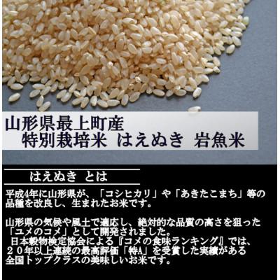 ふるさと納税 最上町 特別栽培米はえぬき　玄米 10kg　山形県産　西塚農場のお米