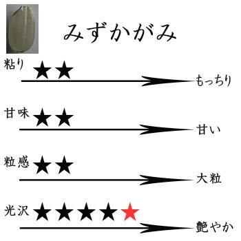 新米 みずかがみ 白米 5kg 滋賀県東近江産 諏訪一男 令和5年産 環境こだわり農産物