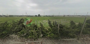 彰化大城前後臨路方正美農地(已通電)｜彰化縣大城鄉三林段