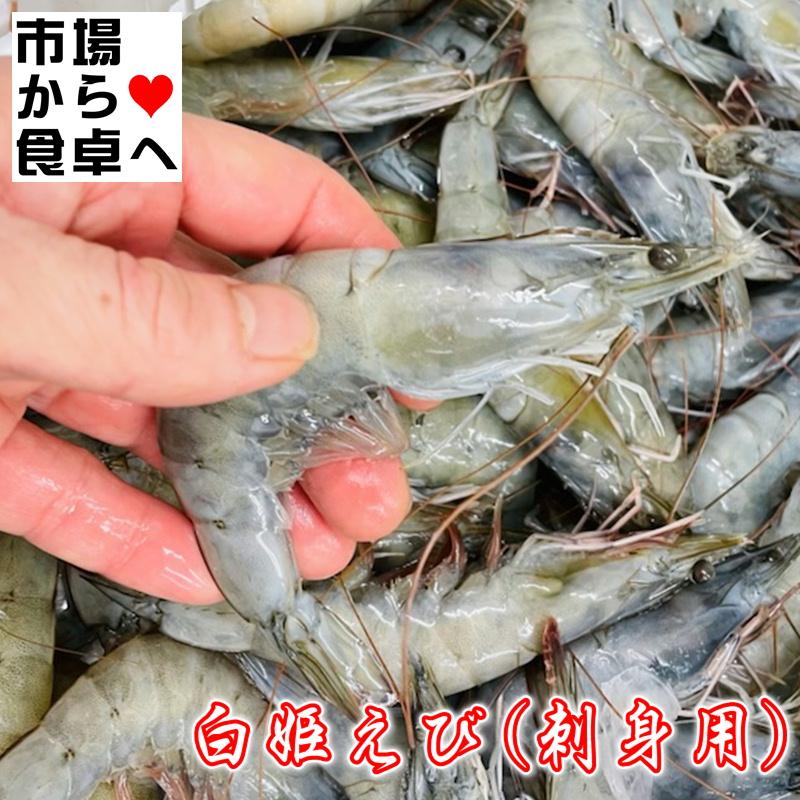 白姫えび 有頭バナメイ海老・刺身用 2箱500g(約23本)IQFバラ凍結「甘味・旨味」の強い海老です