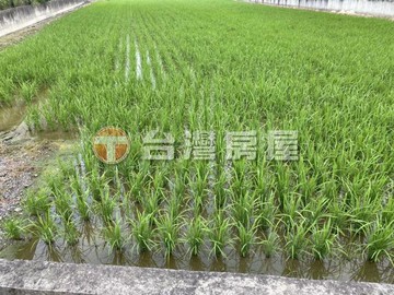 宜蘭市大面寬方正美農地｜宜蘭縣宜蘭市南橋一段