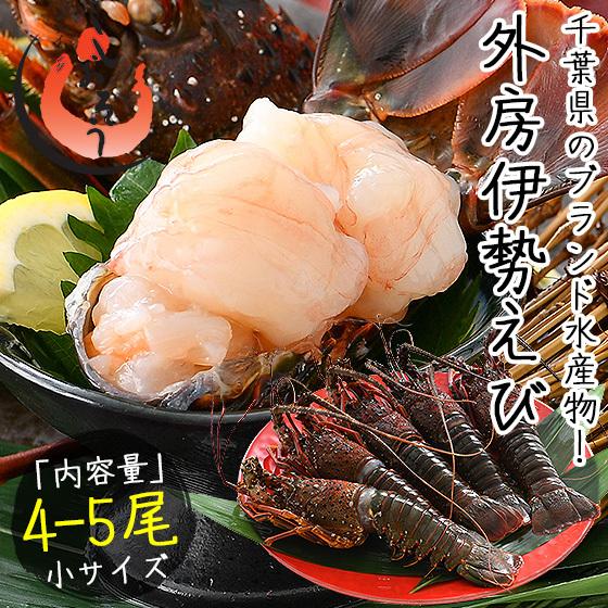 伊勢海老 千葉県産 外房イセエビ 小サイズ×4〜5尾 刺身 冷凍  伊勢エビ 伊勢えび えび エビ 海老 冬グルメ 冬ギフト