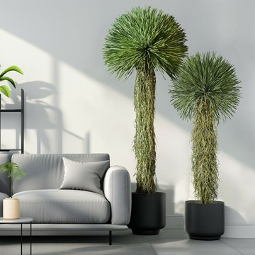 仿真植物 綠植造景 仿真綠植 免運 開立發票 大型高端輕奢稻草人仿真植物假樹室內仿生綠植盆栽沙漠造景觀擺件