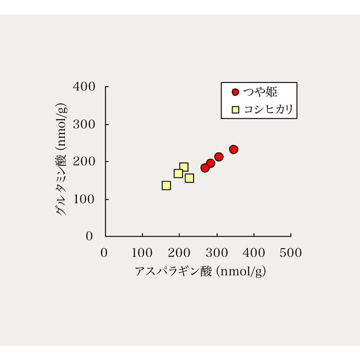 山形県産 置賜産 つや姫玄米 3kg 1等 令和5年産  特栽減減  精米,分搗き指定 無料