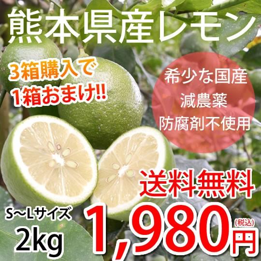 レモン 国産レモン 送料無料 2kg S〜L 3箱購入で1箱おまけ 熊本県産 減農薬 防腐剤ワックス不使用 れもん グリーンレモン 国産