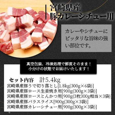 ふるさと納税 美郷町 宮崎県産豚肉お料理セット 5.4kg