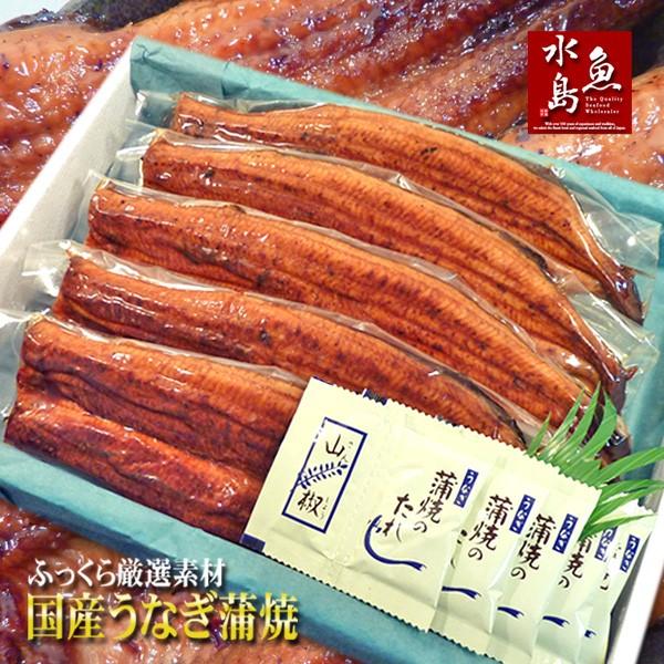 国産 鰻うなぎ蒲焼き ふっくら厳選素材 約30cm超特大 約200g×5尾 メガ盛り1kg 父の日ギフト 土用丑の日 お中元 送料無料