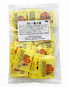 マルニ　カレー塩　小袋（1ｇ×100P）×10個